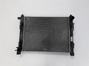   Cooling radiator  - 214100078R 
