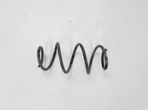 Rear spring - 550207529R