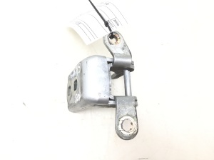  Rear side door hinge lower 