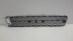   Front bumper lower grille 