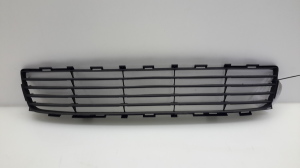  Front bumper lower grille 