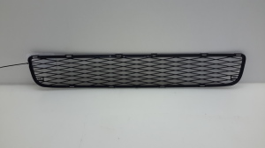  Front bumper lower grille 