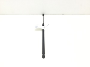 Opel Astra H (2004–2010) Hood prop/gas strut 244652950512 - 2
