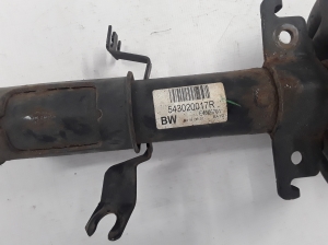 RENAULT Scenic (2009–2015) Stoßdämpfer vorne 543020017R - 3