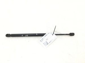 Hood prop/gas strut