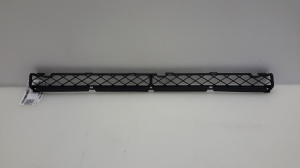 Front bumper lower grille - 5311242030