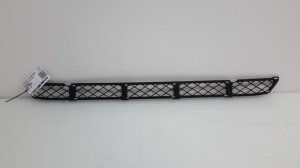 Front bumper lower grille - 5311342020