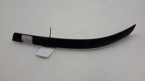 Front bumper trim strip - PZ415E8521