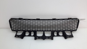  Front bumper lower grille 