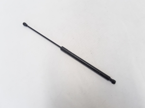   Kapoti tugi/gaasamortisaator  - 654713274R 