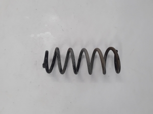Dacia Logan II (2012–2026) Rear spring 550209887R - 2