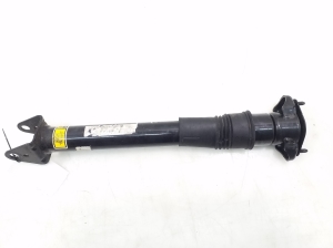 Mercedes Benz R-Class 251 (2006–2017) Stoßdämpfer hinten A2513202131 - 3