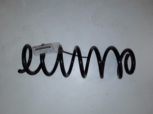 Rear spring