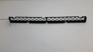 Front bumper lower grille - 5311242030