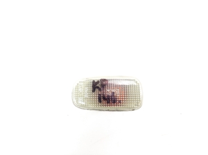   Seitenblinker Kotflügel vorne  - 8173153010 