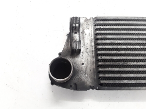 RENAULT Scenic (2003–2010) Ladeluftkühler 8200115540 - 3
