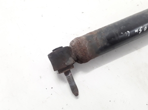 RENAULT Scenic (2003–2010) Stoßdämpfer hinten 8200403164 - 2