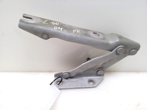 Kapoti hing - 7008727
