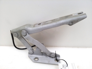 Kapoti hing - 7008728