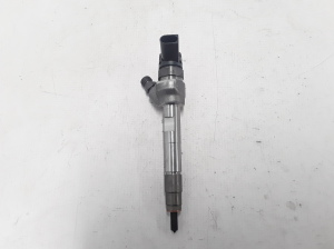   Fuel injector 