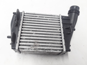Intercooler - 8200369311