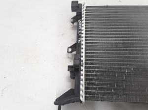RENAULT Laguna III (2007–2015) Jahutusradiaator ja selle osad 214100001R - 3
