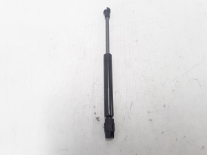   Trunk lid shock absorber 