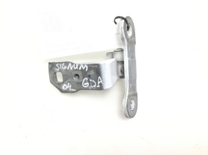 Opel Signum (2003–2008) Rear side door lower hinge - 2