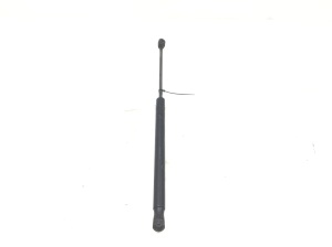 Opel Signum (2003–2008) Trunk lid strut 131914010512 - 3