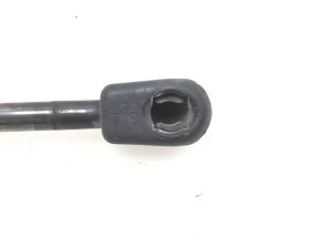 Opel Signum (2003–2008) Trunk lid strut 131914010512 - 4