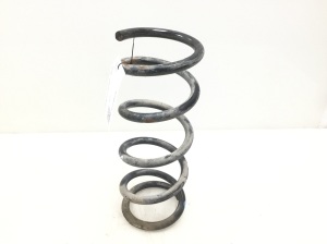 Rear spring