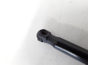RENAULT Scenic (2003–2010) Heckklappendämpfer 8200377199 - 2