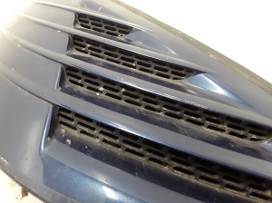 RENAULT Avantime (2001–2003) Hood grille 6025401766 - 2