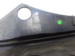 RENAULT Avantime (2001–2003) Hood grille 6025401766 - 3