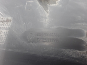 RENAULT Master III (2010–2017) Esiukse liist 808200149R - 4