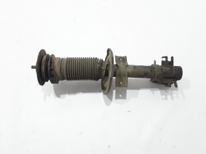 RENAULT Master III (2010–2017) Eesmine amortisaator 543029774R - 2