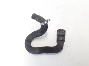   Cooling radiator hose 