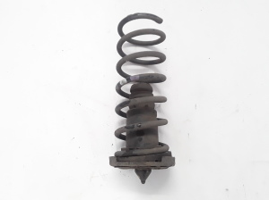   Rear spring 