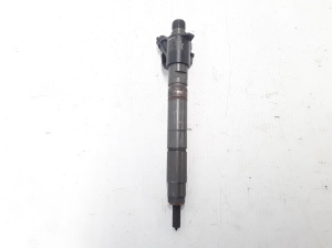   Fuel injector 