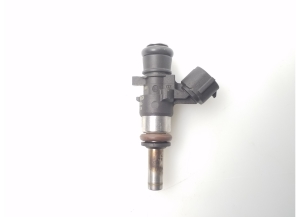   Fuel injector 