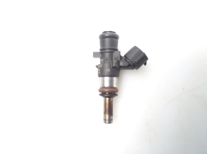   Fuel injector 