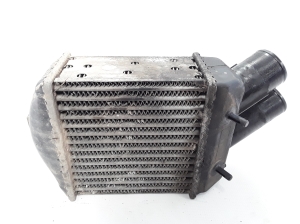 RENAULT Scenic (1996–2003) Vahejahuti radiaator 8200175069 - 2