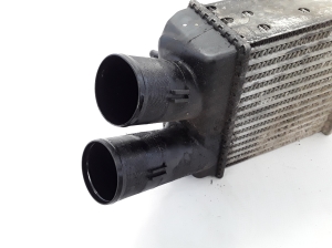 RENAULT Scenic (1996–2003) Vahejahuti radiaator 8200175069 - 3