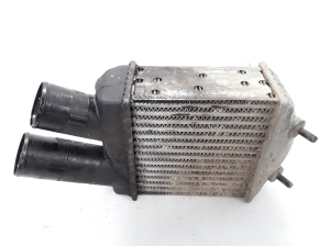   Vahejahuti radiaator  - 8200175069 
