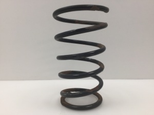 NISSAN X-Trail T30 (2001–2007) Rear spring 55020M - 2