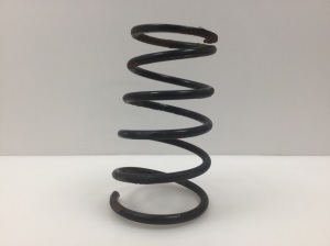 NISSAN X-Trail T30 (2001–2007) Rear spring 55020M - 3