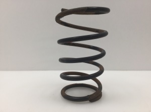 NISSAN X-Trail T30 (2001–2007) Rear spring 55020M - 3