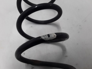 RENAULT Megane III (2008–2016) Rear spring 550200060R - 2