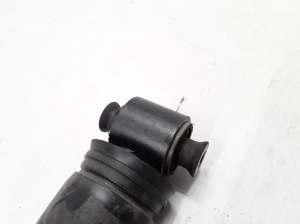RENAULT Scenic (2016–2026) Stoßdämpfer hinten 562106255R - 2
