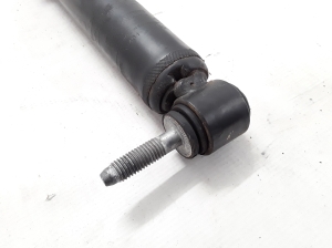 RENAULT Scenic (2016–2026) Stoßdämpfer hinten 562106255R - 3